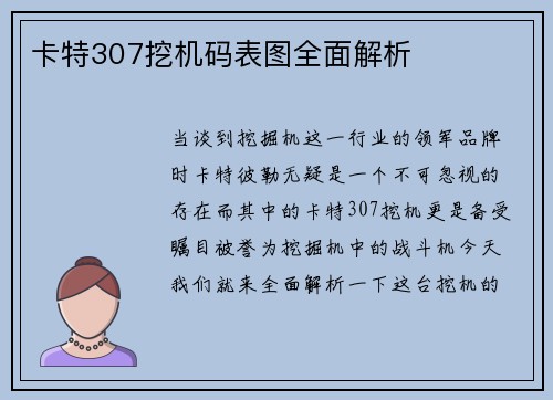 卡特307挖机码表图全面解析